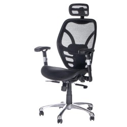 Fotel ergonomiczny CorpoComfort BX-4036 Czarny -Fotele biurowe- 