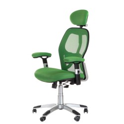 Fotel ergonomiczny CorpoComfort BX-4144 Zielony -Fotele biurowe- 