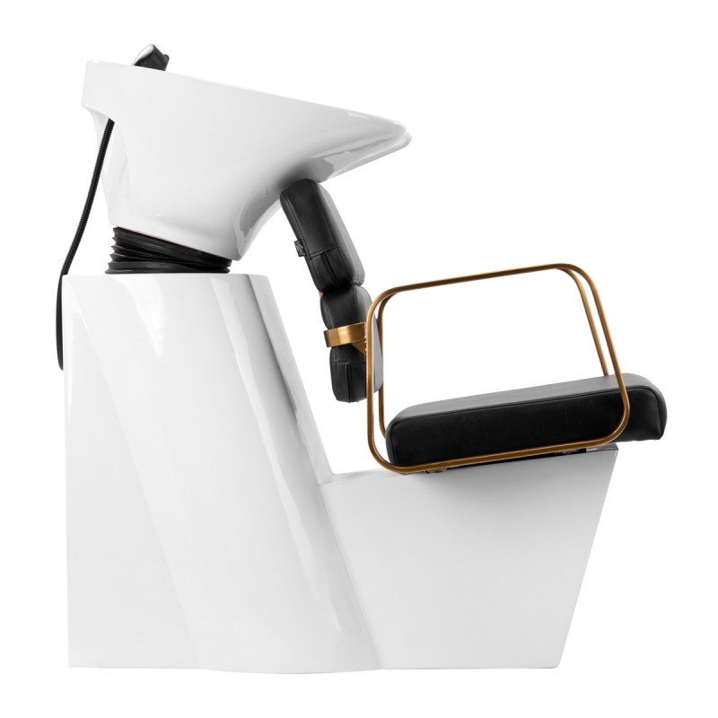 Black and gold shampoo chair