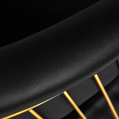 Gold-accented black salon chair
