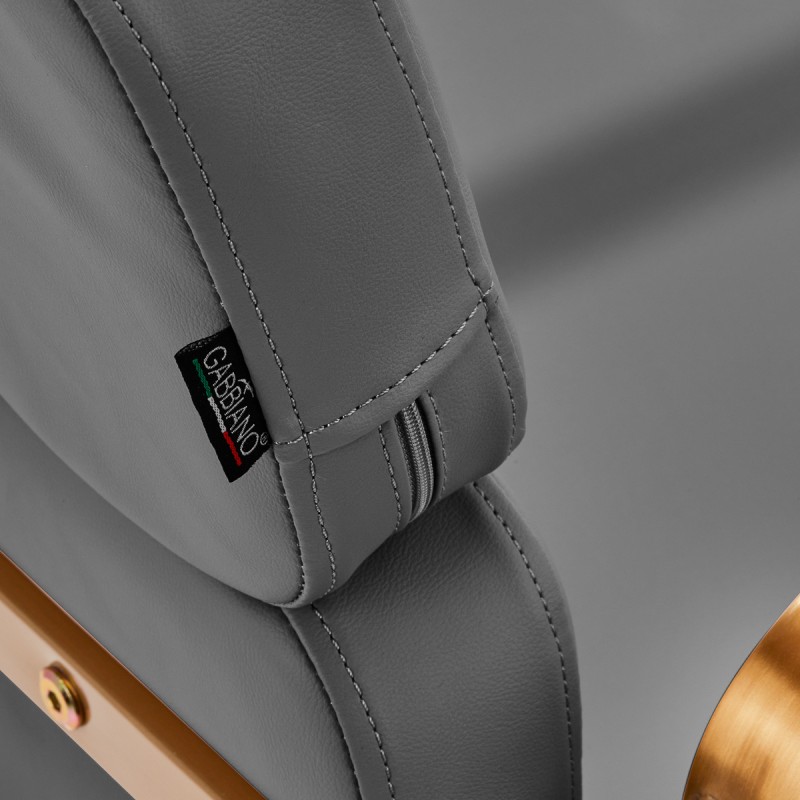 Gray salon chair gold trim