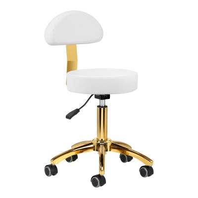 White cosmetic stool gold legs