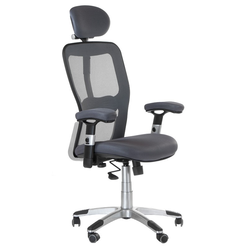 Fotel Ergonomiczny Corpocomfort Bx-4147 Szary