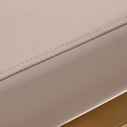 Gold accented beige salon chair