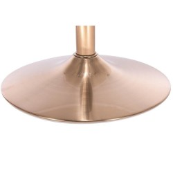 Fuchsia velvet chair gold base