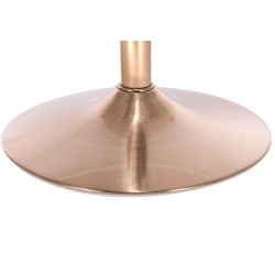 Black velvet salon chair gold