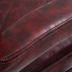 Burgundy Eversun Elite barber chair