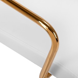 Krzesło Kosmetyczne QS-OF211G złoto beżowe