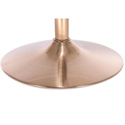 Graphite velour chair gold base