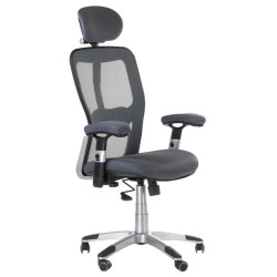 Fotel ergonomiczny CorpoComfort BX-4147 Szary -Fotele biurowe- 
