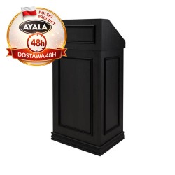 Recepcja LEXUS I - Ayala 48h