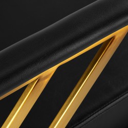 Gold black salon barber chair