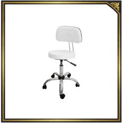 Adjustable salon stool with backrest