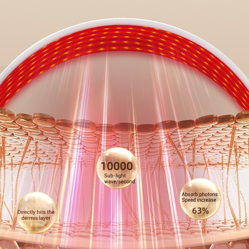 lapa -Strona główna- 