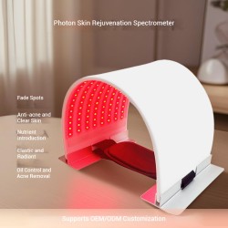 lapa -Strona główna- 