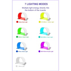 lapa -Strona główna- 