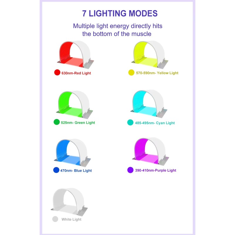 lapa -Strona główna- 