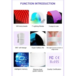 lapa -Strona główna- 