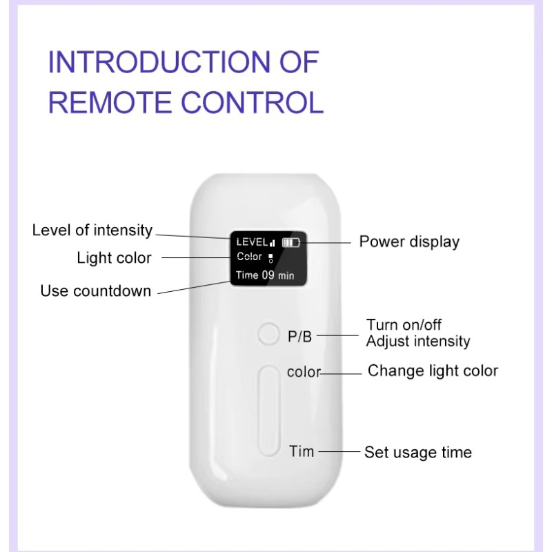 lapa -Strona główna- 