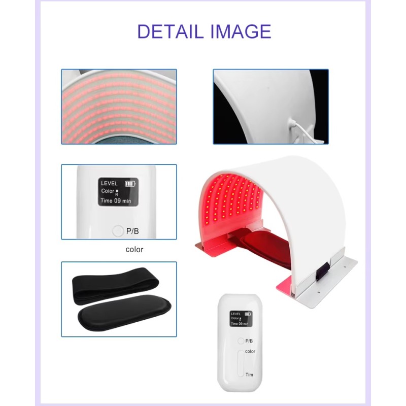 lapa -Strona główna- 