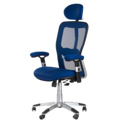 Fotel ergonomiczny CorpoComfort BX-4147 Niebieski -Fotele biurowe- 