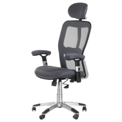 Fotel ergonomiczny CorpoComfort BX-4147 Szary -Fotele biurowe- 