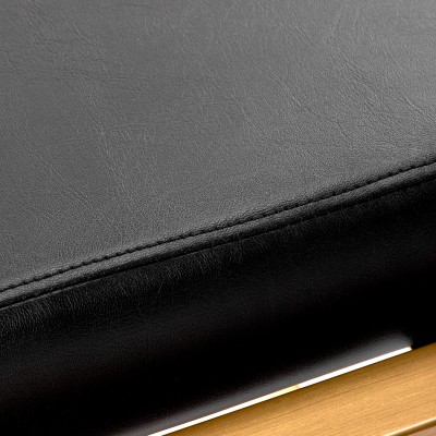 Black salon chair gold accents