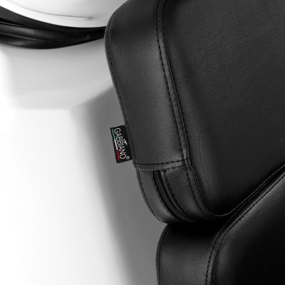 Black salon chair gold basin